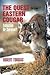 The Quest For The Eastern C...