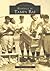 Baseball in Tampa Bay by A.M. de Quesada