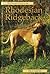 Pet Owner's Guide to the Rhodesian Ridgeback