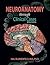 Neuroanatomy through Clinical Cases by Hal Blumenfeld