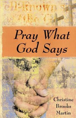 Pray What God Says (Paperback)