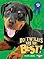 Rottweilers Are the Best! (The Best Dogs Ever)