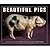 Beautiful Pigs /anglais