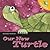 Let's Take Care of Our New Turtle (Let's Take Care of Books)
