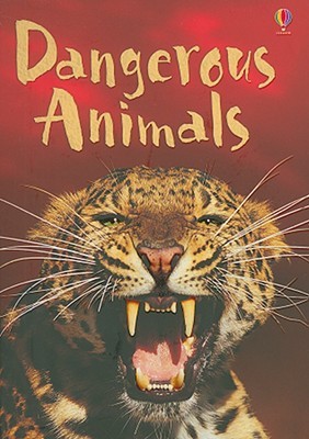 Dangerous Animals (Usborne Beginners)