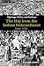 Pilgrimage, Politics, and Pestilence: The Haj from the Indian Subcontinent, 1860-1920