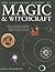 The Illustrated History of Magic & Witchcraft: A study of pagan belief and practice around the world, from the first shamans to modern witches and wizards in 530 evocative images
