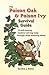 The Poison Oak and Poison Ivy Survival Guide