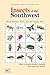 Insects of the Southwest: How to Identify Helpful, Harmful, and Venomous Insects