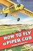 How To Fly a Piper Cub