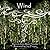 Wind