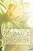 Megan's Promise by Catherine Grace