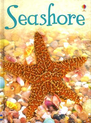 Seashore: Level 1 (Usborne Beginners)