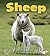 Sheep (First Step Nonfictio...