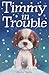 Timmy in Trouble