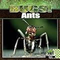 Ants