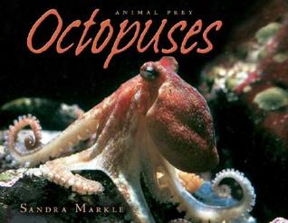 Octopuses (Animal Prey)