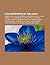 Philosophers of Religion: Søren Kierkegaard, Abraham Joshua Heschel, Alvin Plantinga, William Alston, Joseph B. Soloveitchik, Mircea Eliade