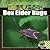Box Elder Bugs