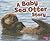 Baby Sea Otter Story