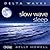 Slow Wave Sleep