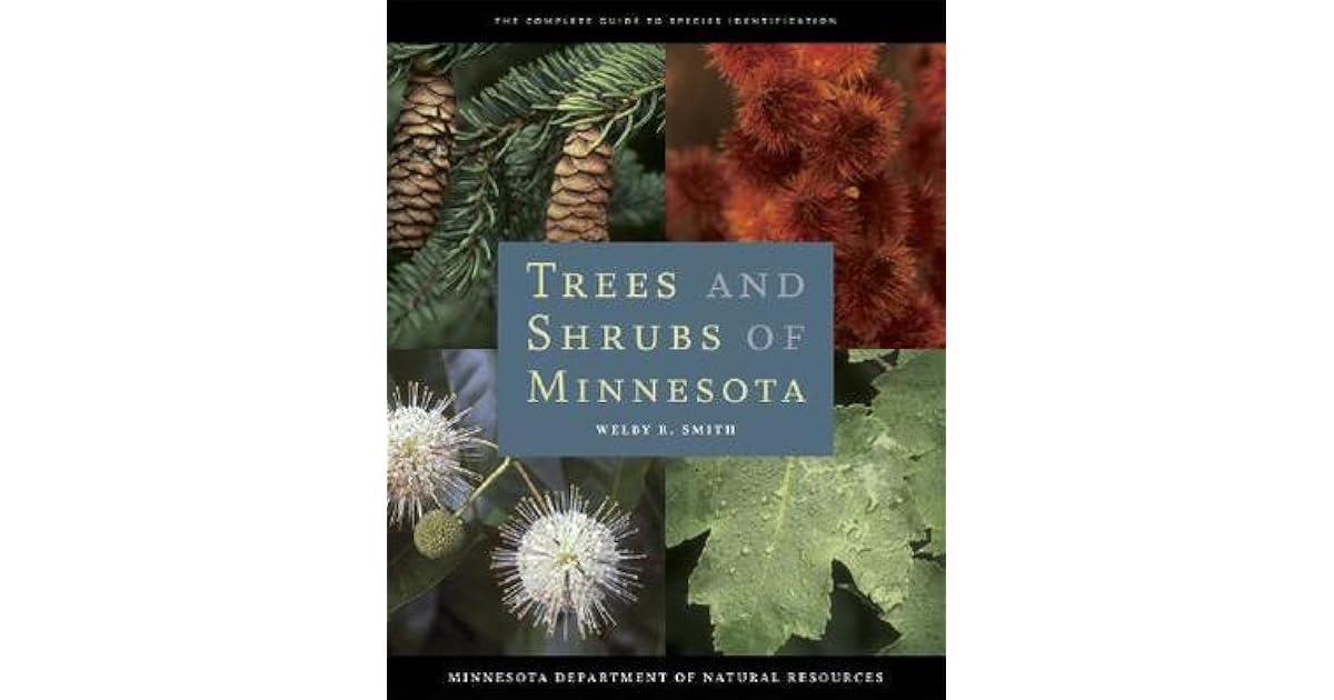 Trees and Shrubs of Minnesota by Welby R. Smith