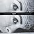 Cut: Film As Found Object I...