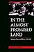 In the Almost Promised Land: American Jews and Blacks, 1915-1935
