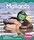 Mallards (Pebble Books)