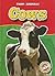 Cows