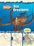 Sea Creatures