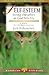Self-Esteem: Seeing Ourselves as God Sees Us (LifeGuide® Bible Studies)