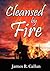 Cleansed By Fire: The Father Frank Series