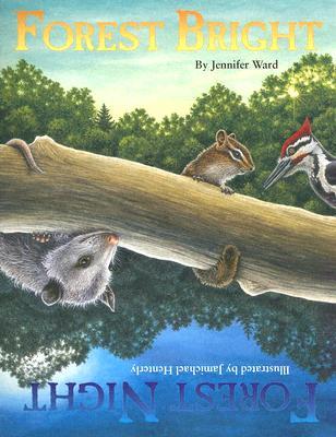 Forest Bright, Forest Night: A Day-to-Night Counting Adventure (Paperback)