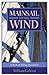 Mainsail to the Wind by William Galvani