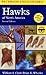 A Peterson Field Guide To Hawks Of North America by William S. Clark