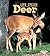 Deer (First Step Nonfiction: Animal Life Cycles)