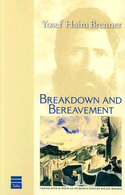 Breakdown and Bereavement (Paperback)