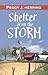 Shelter From The Storm