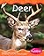 Deer (Pebble Books)