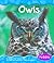Owls (Pebble Books)