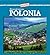 Descubramos Polonia/Looking at Poland (Descubramos Paises Del Mundo / Looking at Countries) (Spanish Edition)