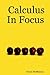 Calculus In Focus