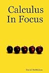 Calculus In Focus