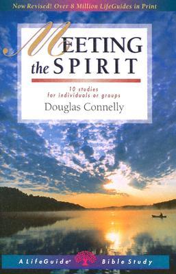 Meeting the Spirit (Paperback)