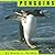 Penguins (Animals)
