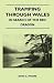Tramping Through Wales in S...