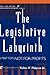 The Legislative Labyrinth: A Map for Not-for-Profits (The AFP/Wiley Fund Development Series)