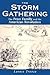 The Storm Gathering: The Pe...