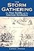 The Storm Gathering by Lorett Treese
